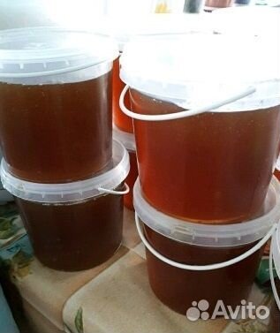 Мёд свежий 2023 г (с доставкой по Тюмени)