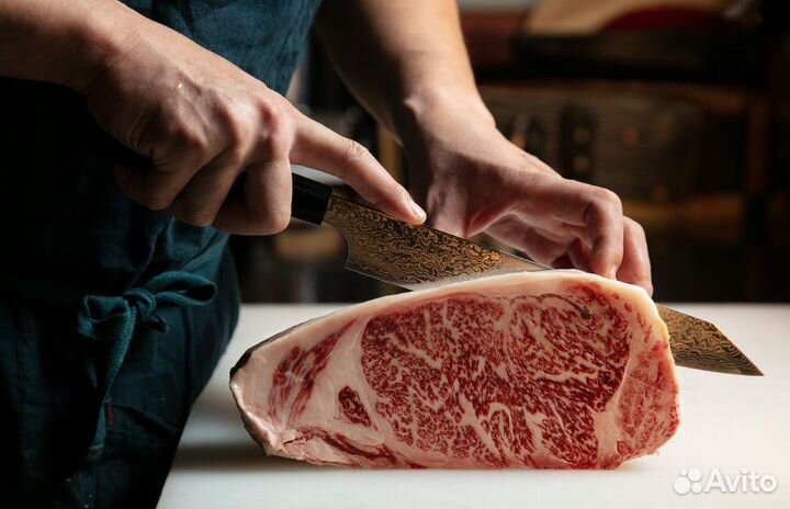 Премиальный японский нож Zuiun Seki Kanetsugu SPG2