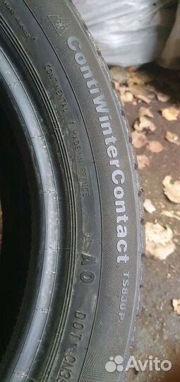 Continental ContiWinterContact TS 830 P 195/50 R16