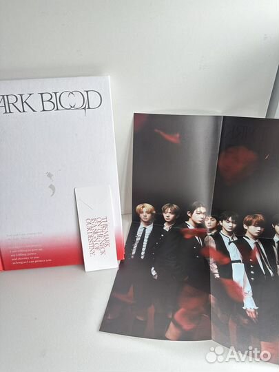 Альбом enhypen dark blood
