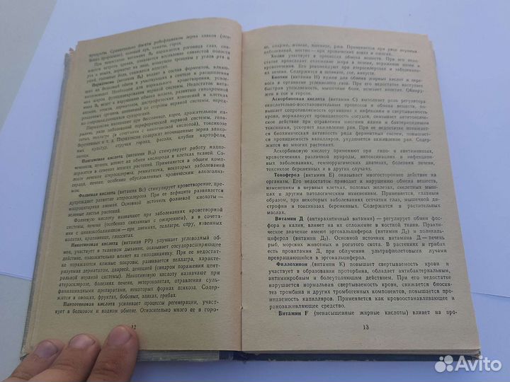 Растения здоровья, Крылов, Казакова, лагерь