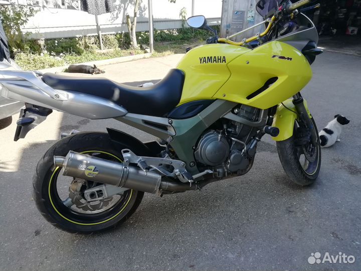 Yamaha TDM 900