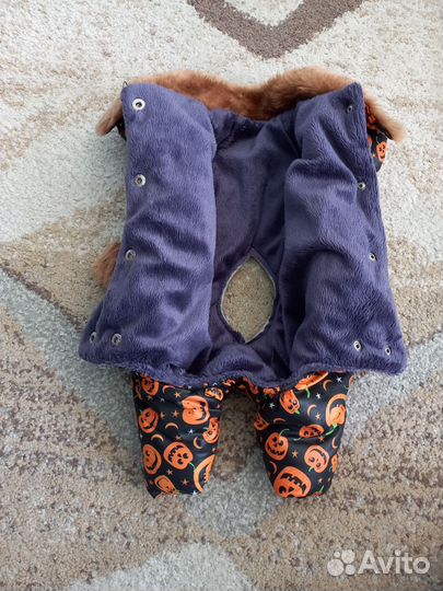 Одежда для маленьких собак