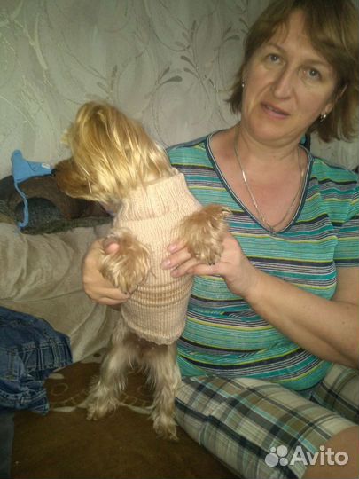 Тёплая вязанная одежда для питомцев