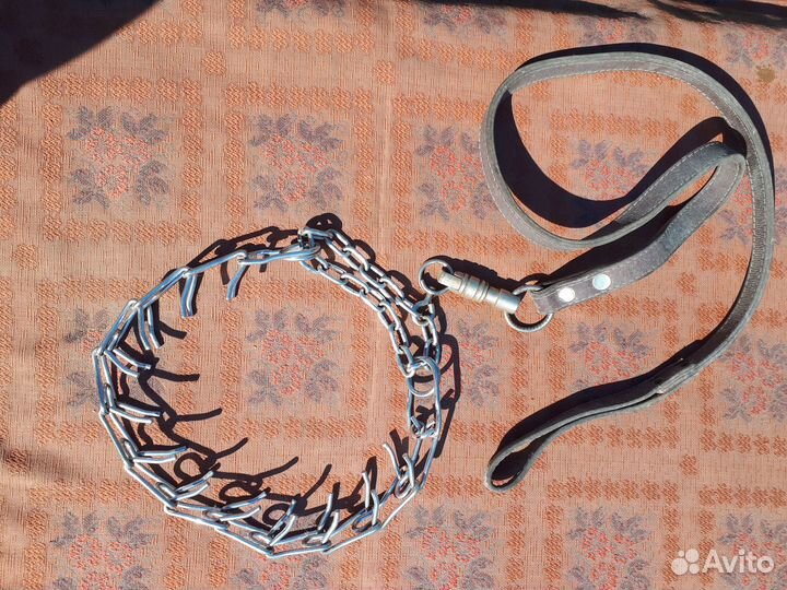 Строгий ошейник для собак