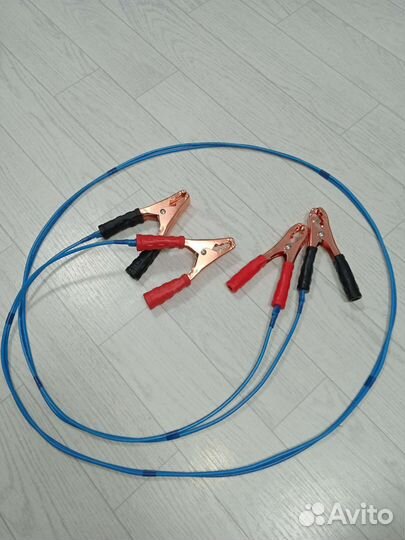 Крокодилы в авто