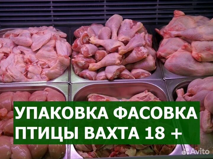 Упаковщики вахта 18+ / Индюшкин двор