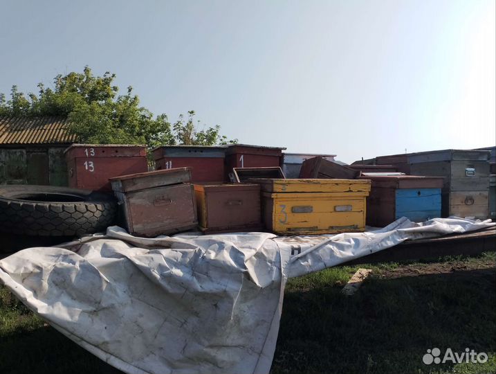 Улей для пчел бу