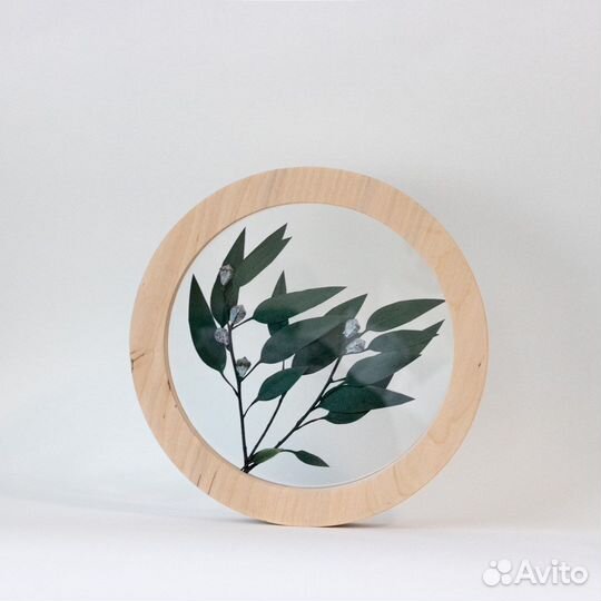 Декор для дома. Гербарий в стекле. Эвкалипт