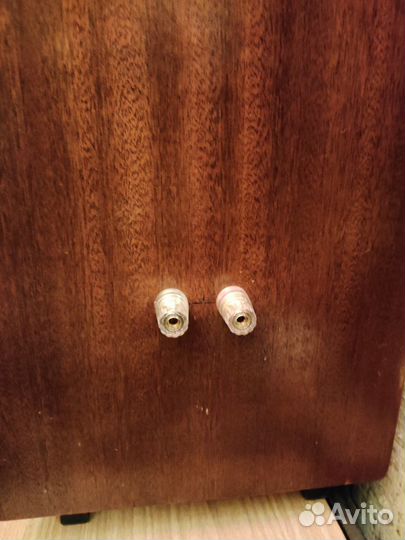 Виктория 001