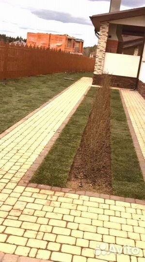 Рулонный газон от производителя