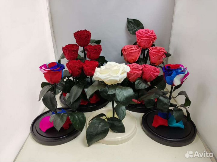 Роза в колбе оптом