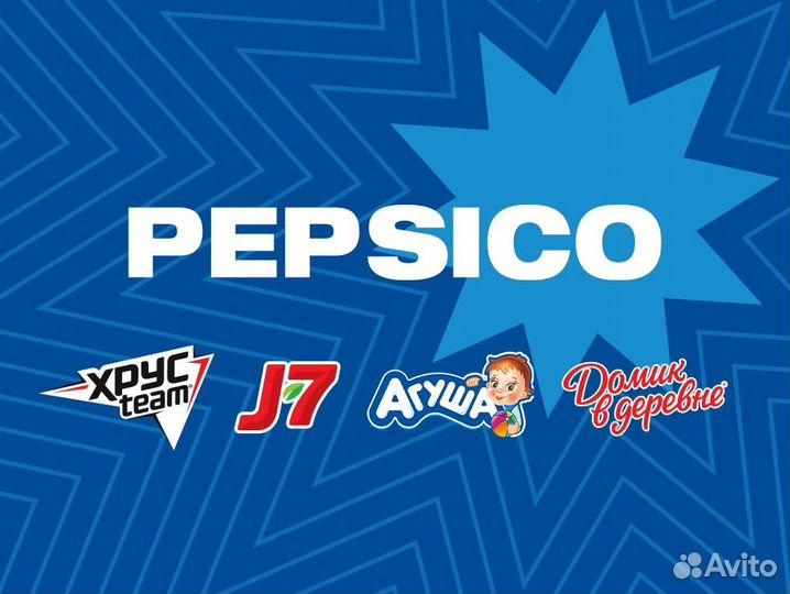 Торговый агент / Мерчендайзер