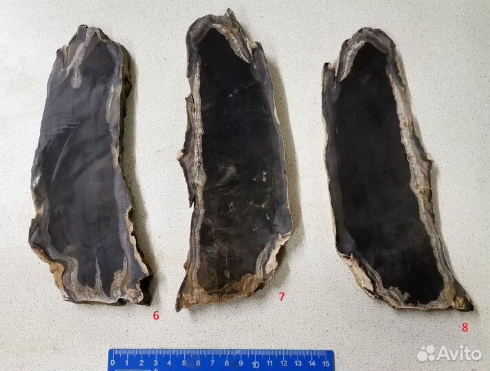 200.11 Дерево окаменелое