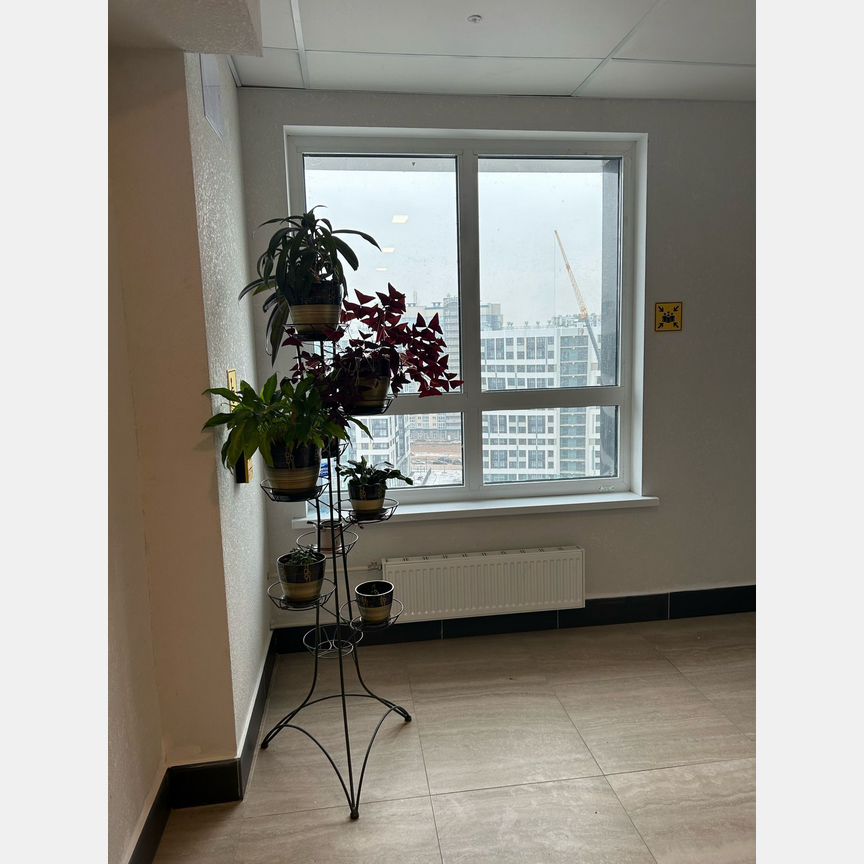 Квартира-студия, 26,7 м², 12/13 эт.