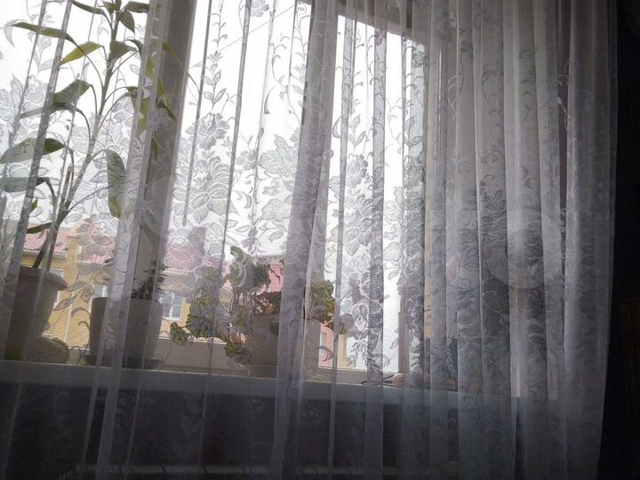 2-к. квартира, 67,8 м², 2/3 эт.