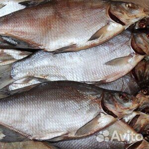 Астраханская рыба