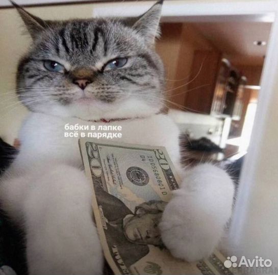 Промоутер для школьников