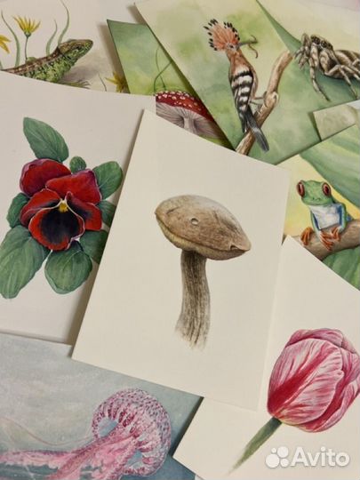 Рисунки иллюстрации на заказ и по фото