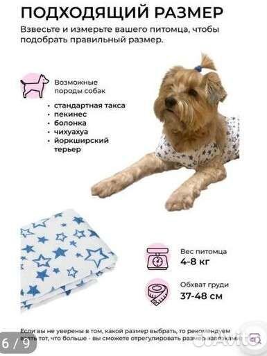 Воротник vitavet и попона