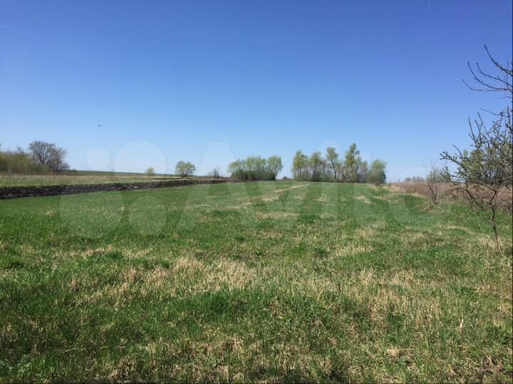 Дом 60 м² на участке 50 сот.