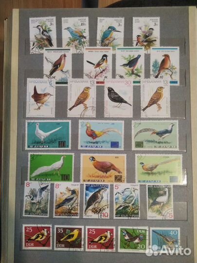 Коллекция почтовых марок