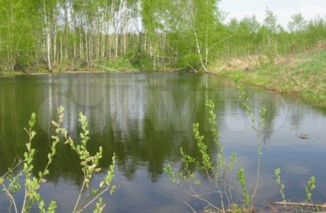 Участок 15 сот. (ИЖС)
