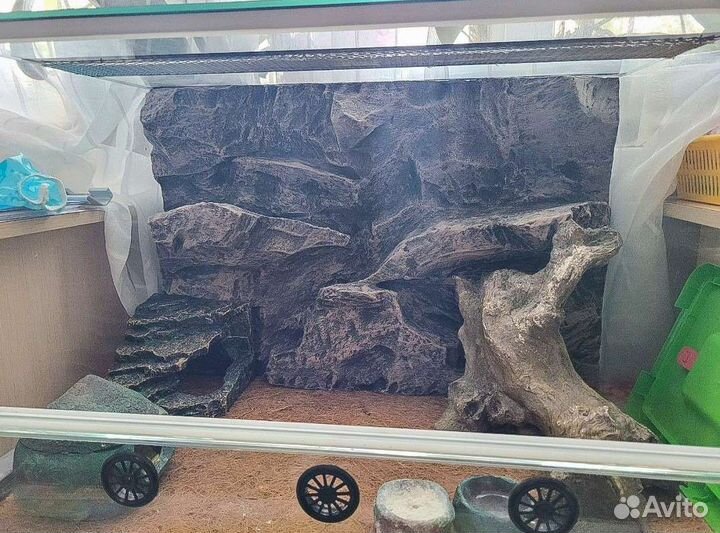 3d фон для аквариума и террариума