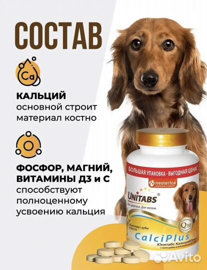 Витамины для собак
