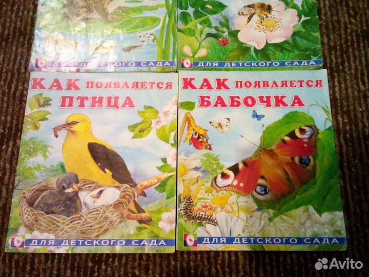 Как появляется