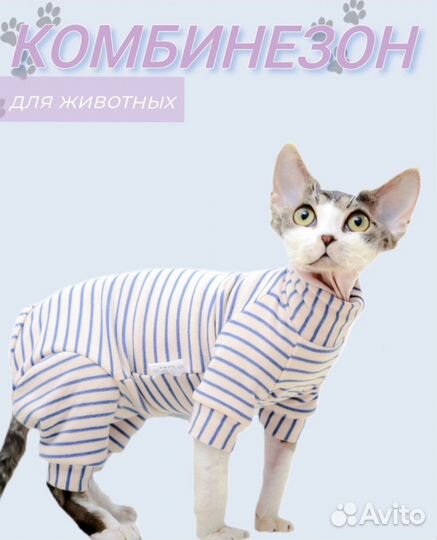 Новый комбинезон для кошек сфинкс Одежда для кошек