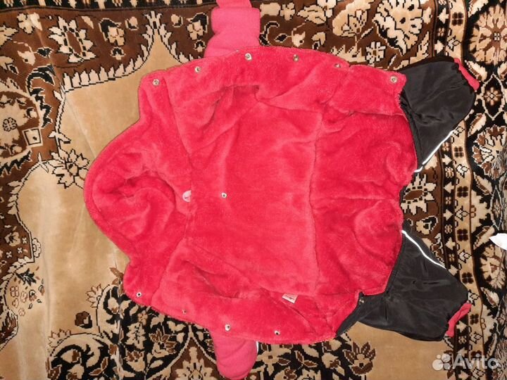 Зимний комбинезон и намордник для маленьких собак