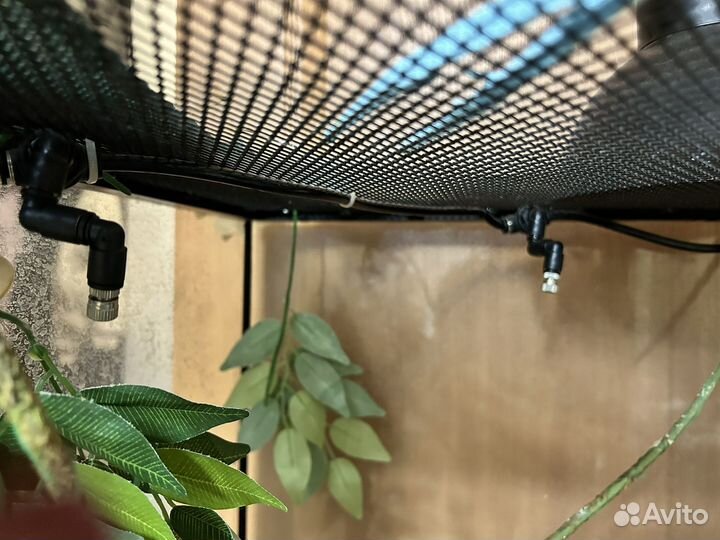 Террариум для хамелеона