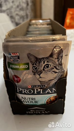 Влажный корм 26 шт. Pro Plan Про План для кошек