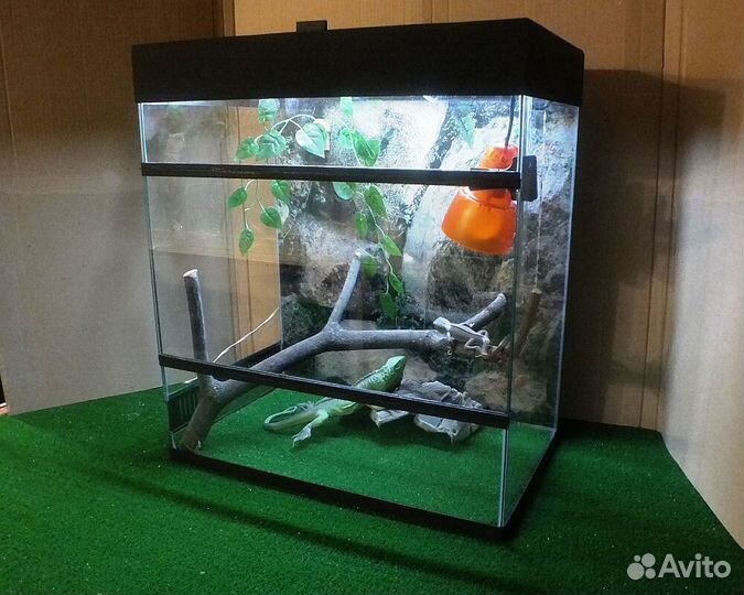 Супер комфорт. Террариум для «экзотики»