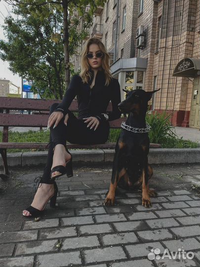 Фотосессия с собакой доберман