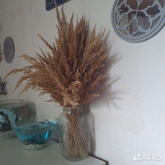 Огромный букет из сухоцветов