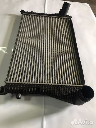 Интеркуллер skoda octavia