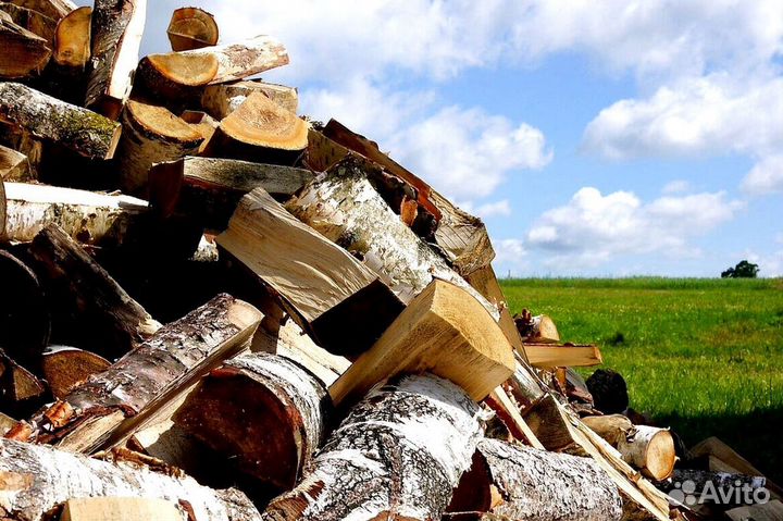 Дрова образцовые