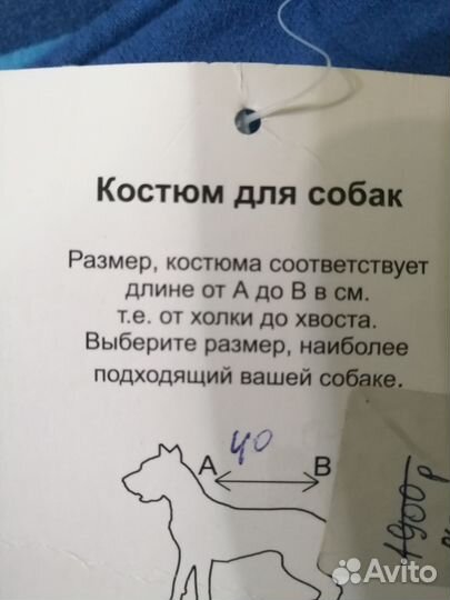 Костюм для собаки