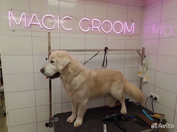 Грумер для ваших хвостиков в Оби