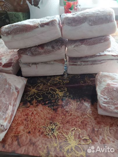 Сало свиное свежее