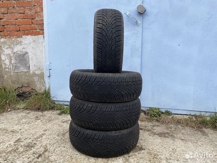 Arivo Winmaster ProX ARW3 185/50 R16 81V