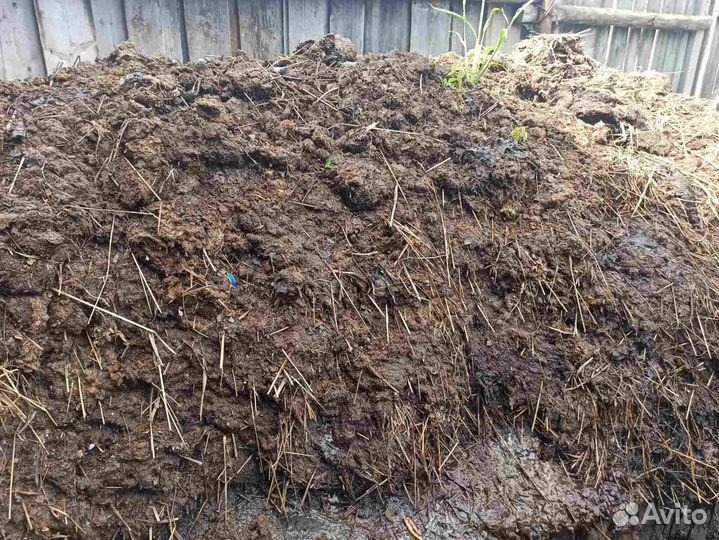 Продам навоз коровий