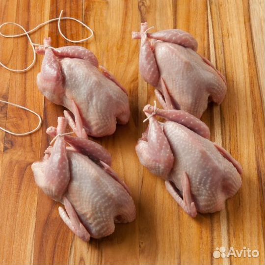 Домашние мясо перепелов