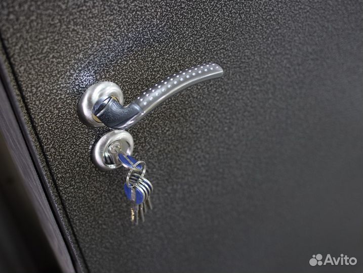 Входная дверь металлическая