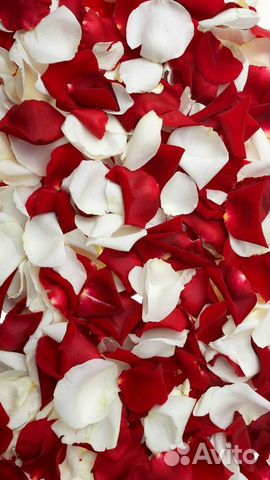 Лепестки роз