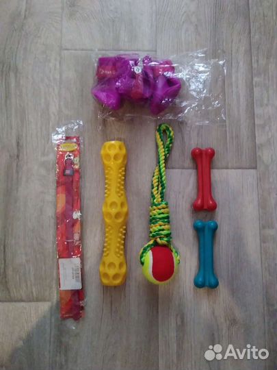 Игрушки, обувь и ошейник для собак