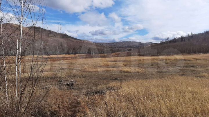 Участок 195 га (СНТ, ДНП)