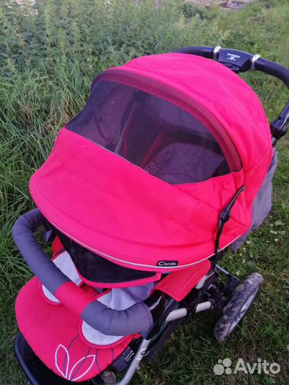 Прогулочная коляска capella сибирь